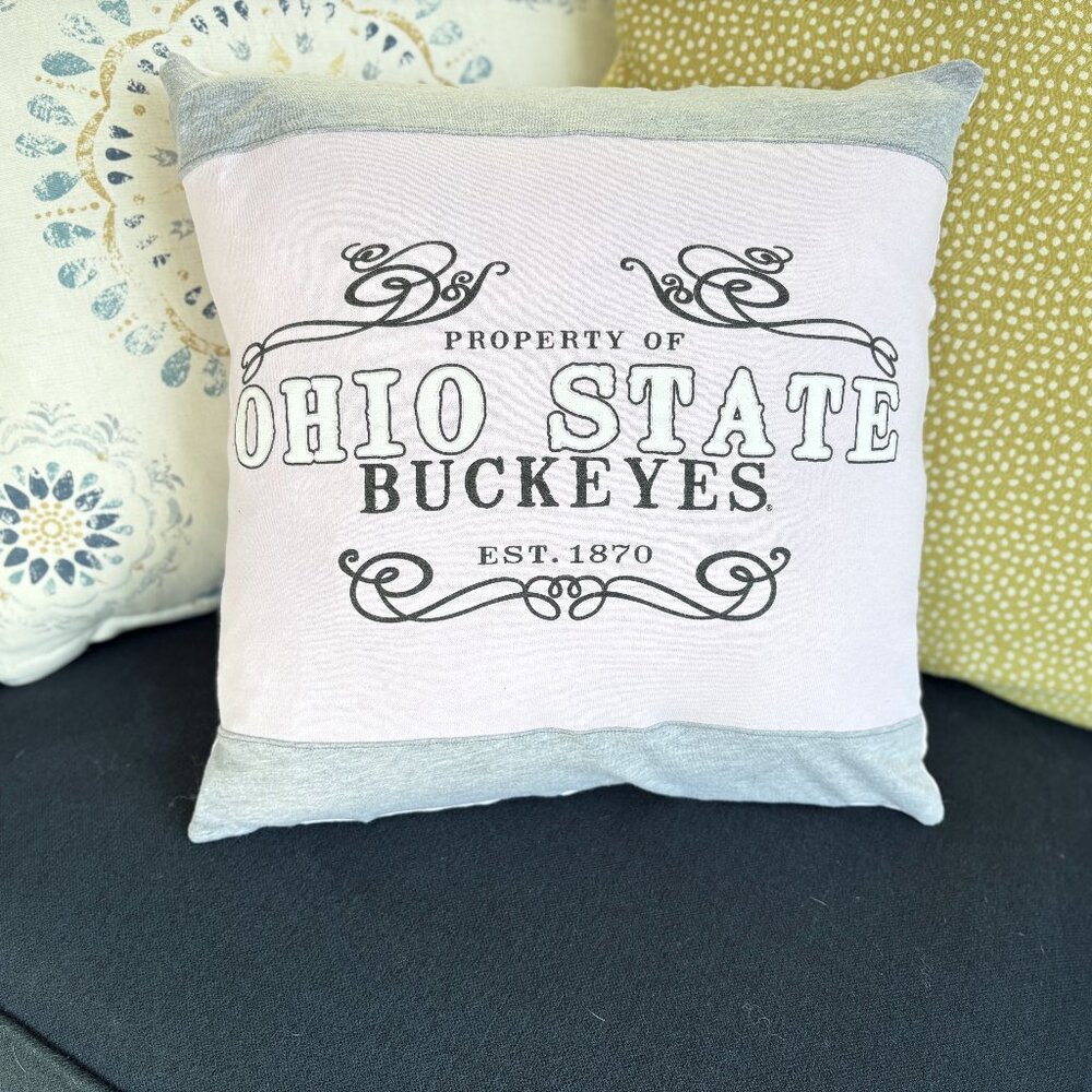 Ohio State University Buckeyes Custom Reworked Throw Pillow 16" pink cover